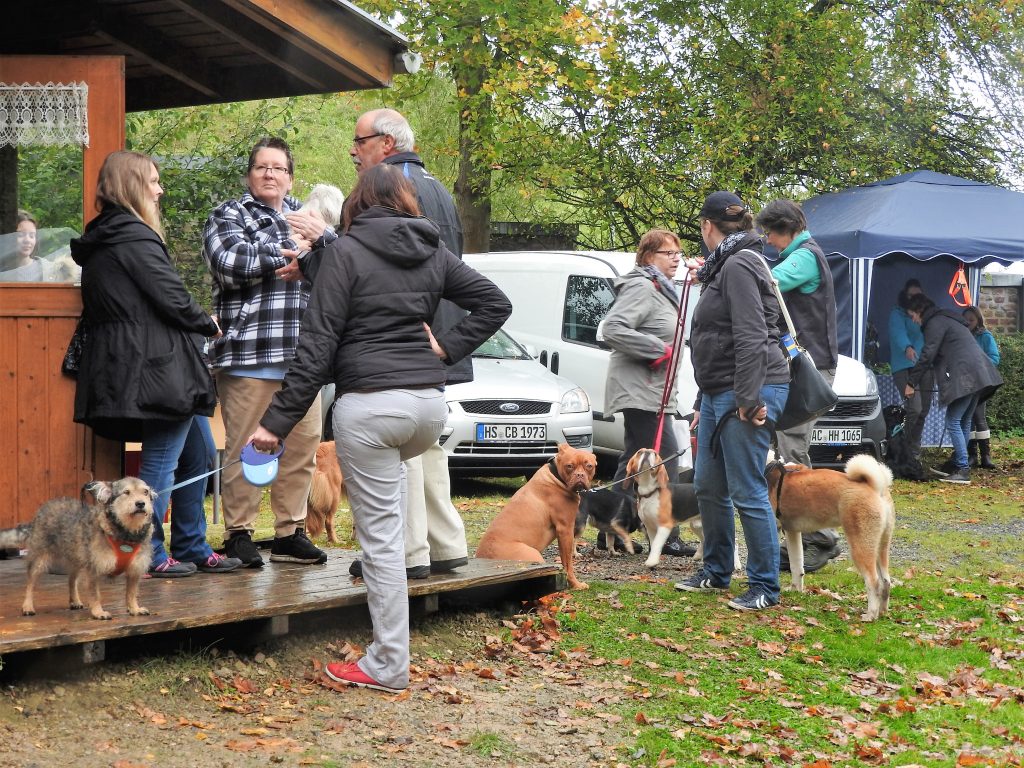 Herbstfest Danke Nd Hand Tiere E V