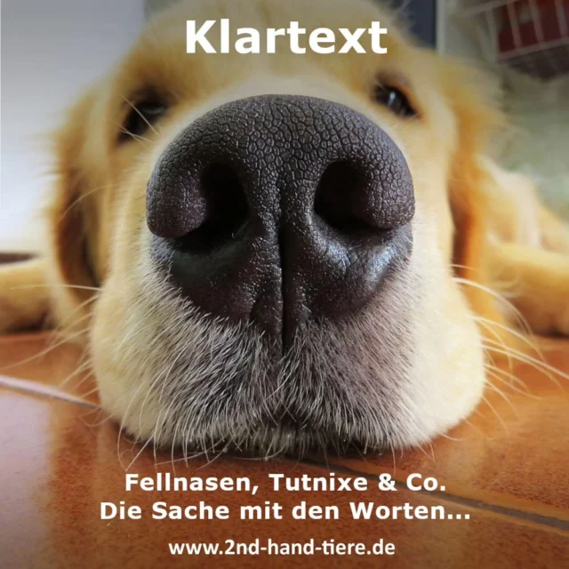 Immer wieder sonntags informieren wir Euch über Dinge, die uns aktuell besonders interessieren. 

"Fellnase", "adopt don't shop", "Familienmitglied" (als Bezeichnung für den eigenen Hund, die Katze oder das Kaninchen),... 

Alles Quatsch! Tiere haben kein Fell auf der Nase; Tiere, selbst aus dem Tierschutz werden gekauft oder man wird Pflegestelle, denn adoptieren im rechtlichen Sinn kann man Kinder, aber keine Tiere; eine Familie besteht aus einer Spezies und niemand von uns ist mit seinem Tier verwandt. 

Trotzdem verwenden wir  und viele von euch solche Begriffe und jeder weiß, was gemeint ist. Die Liste könnt ihr gerne vervollständigen, denn sie ist nahezu unendlich ("der hört ja gar nicht" - doch er kann prima hören nur gehorchen will er halt nicht; "das hat er aber noch nie gemacht" - doch, er hat sich nur bisher nicht erwischen lassen usw.).
Na, was fällt euch noch ein, wo ihr genau wisst, dass es eigentlich "falsch" ist, aber jeder weiß, was gemeint ist?!

Viel Spaß beim Überlegen und einen schönen Sonntag an euch alle.

#2ndhandtiere 
#adoptdontshop
#fellnase
#familienmitglied
#dertutnix
#spaßamsonntag